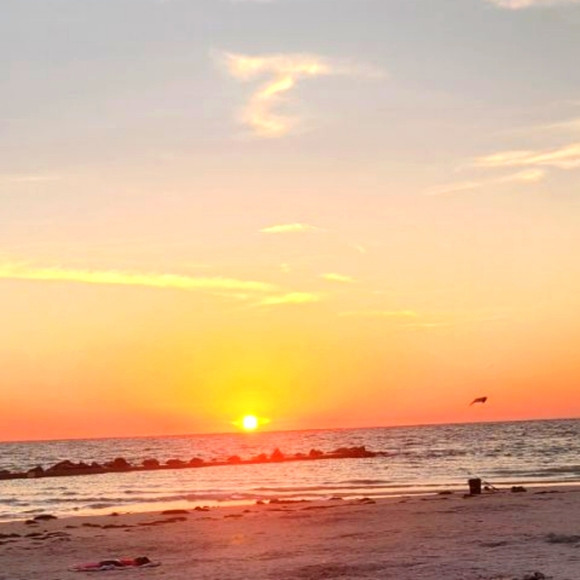 Meet your Posher, Manda - Picture 3 of 5